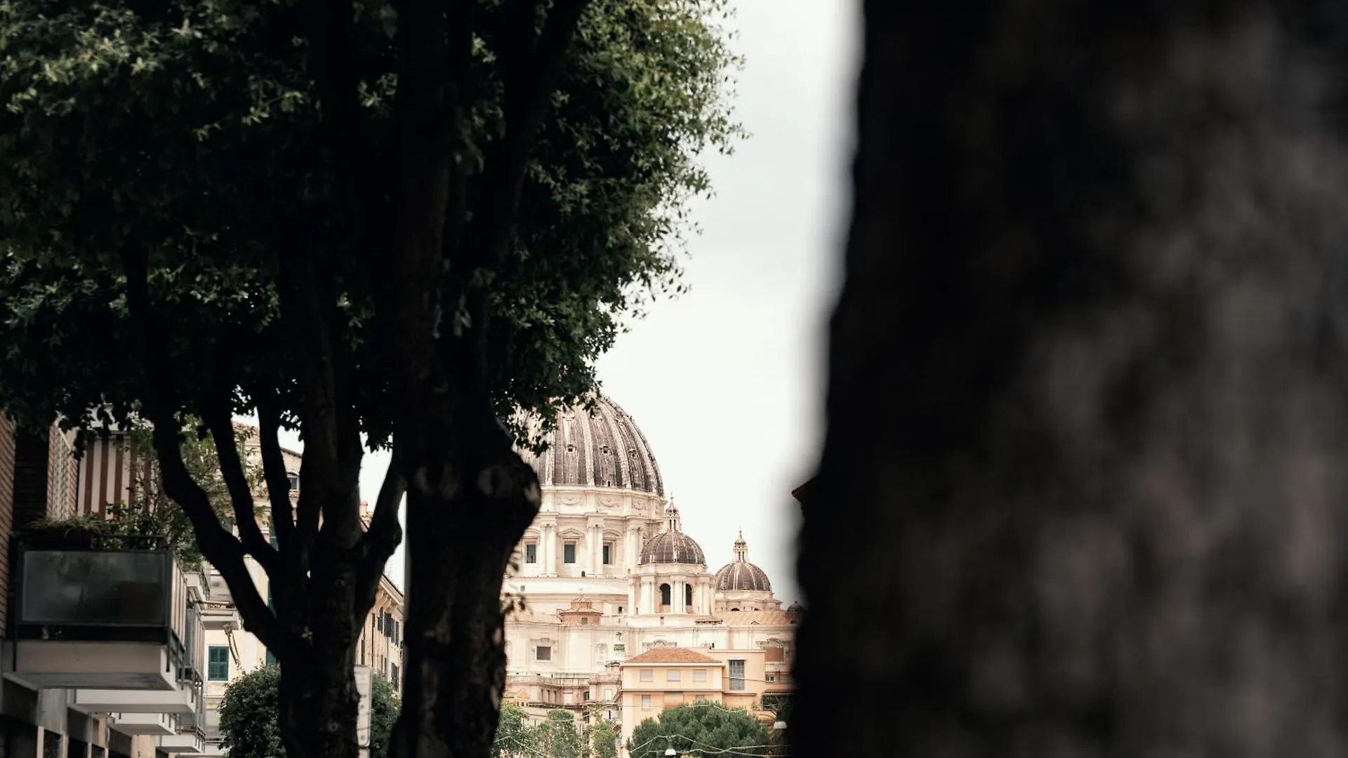 ホテル Saint Peter Loft ローマ イタリア